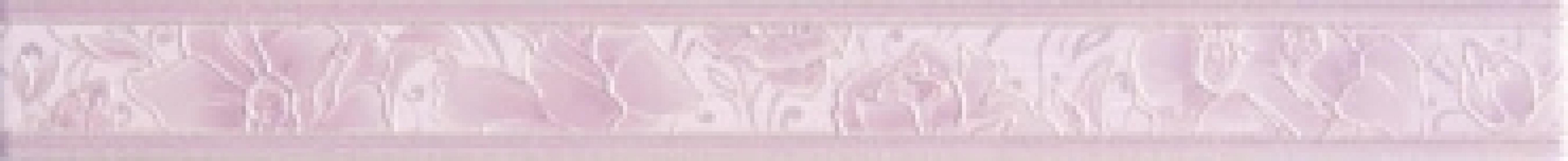Плитка настенная Pion Lila бордюр BW0PIN02  50*500
