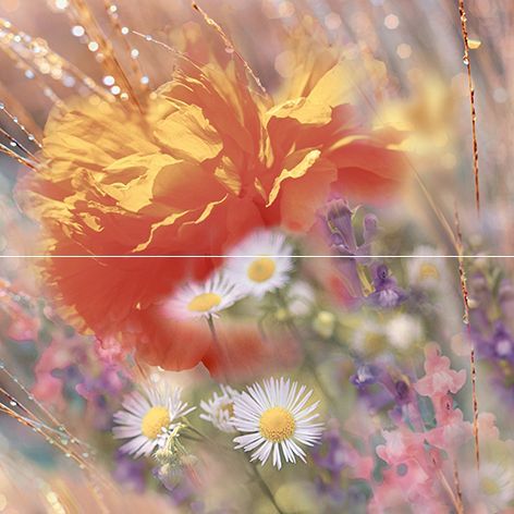 Flowers панно P2-2D205  (из 2 плиток)  40*40 