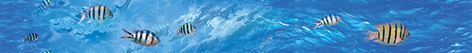 Ocean Deep бордюр B400D302  40*4.5