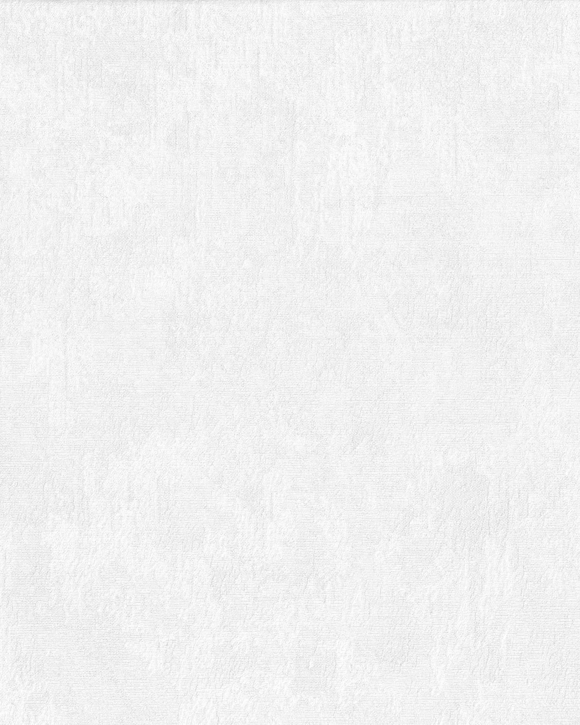 Обои 80013  1,06*10м 