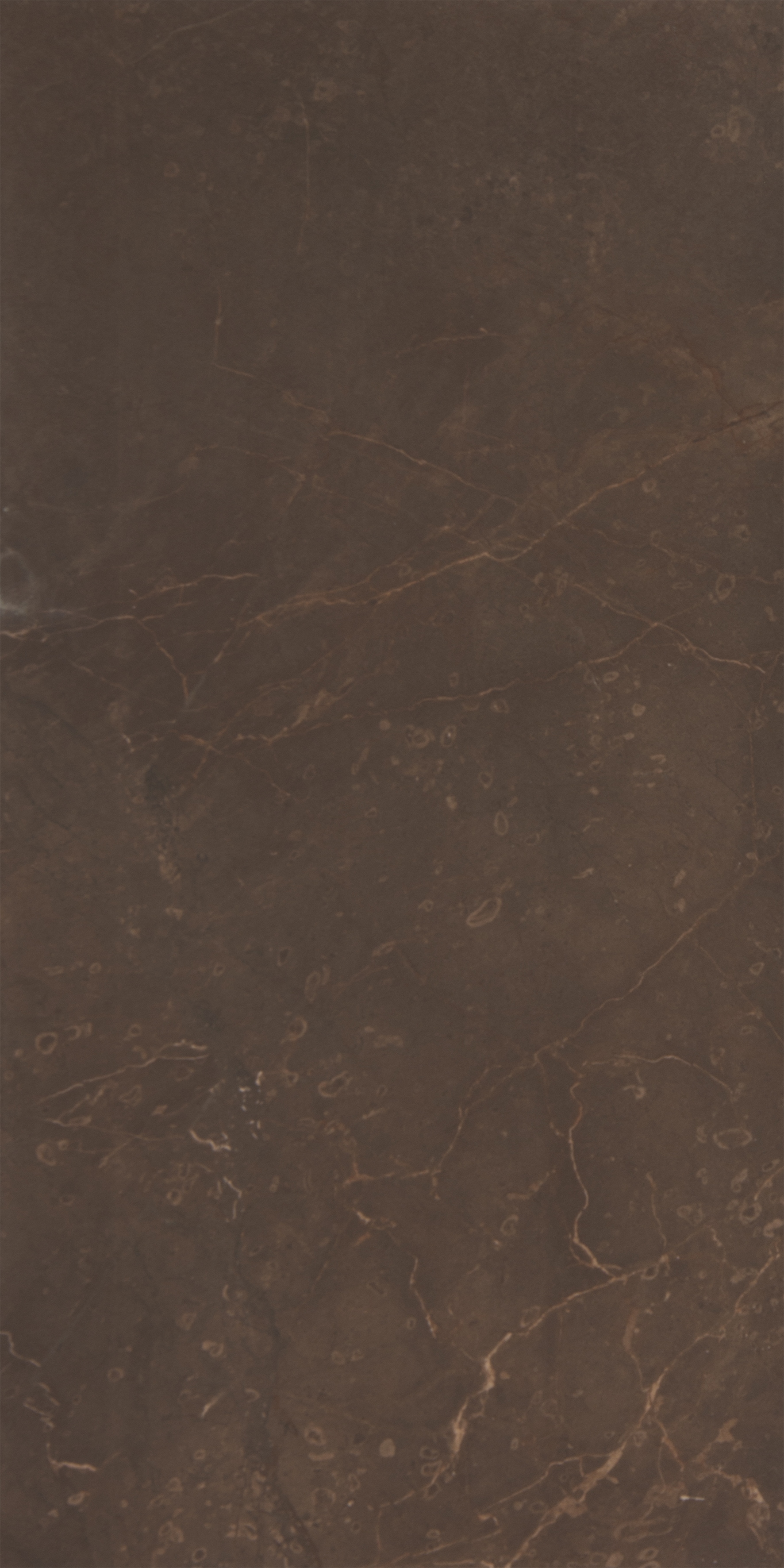 Плитка настенная Marble Marron WT9MRB021  249*500