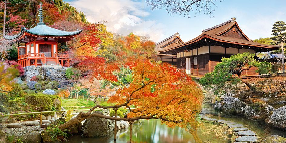 Japan панно P4D301 (из 4 плиток)  80*40 
