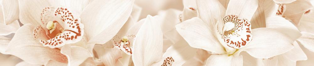 Aroma беж. бордюр 45*7,5 