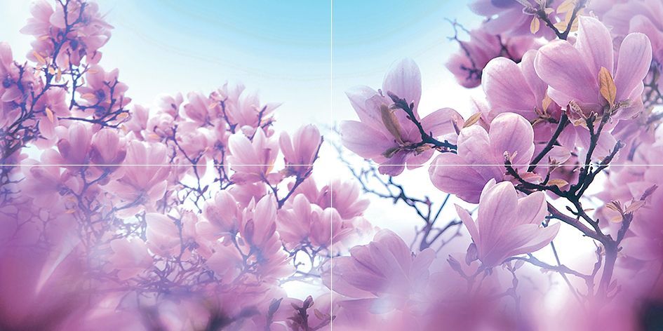 Magnolia панно P4D297 (из 4 плиток)  80*40