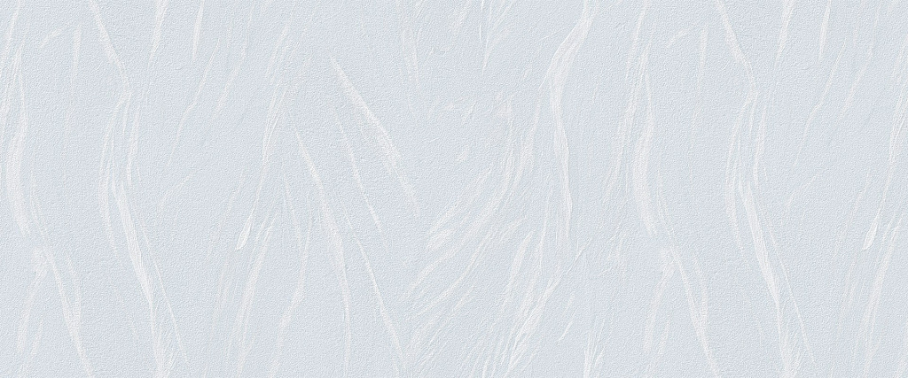 Обои 281865  1,06*10м 