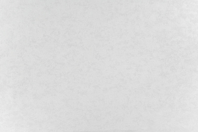 Обои 10518-01 1,06*10м 